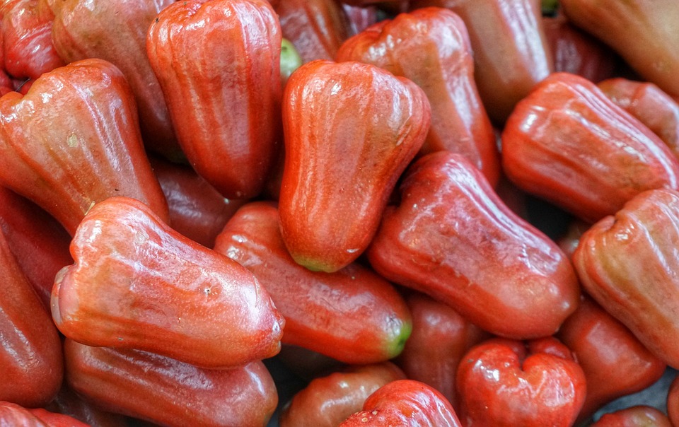 Fresh Rose Apple